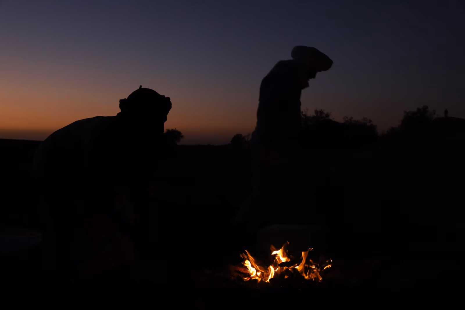 Campfire camel silhouettes dusk