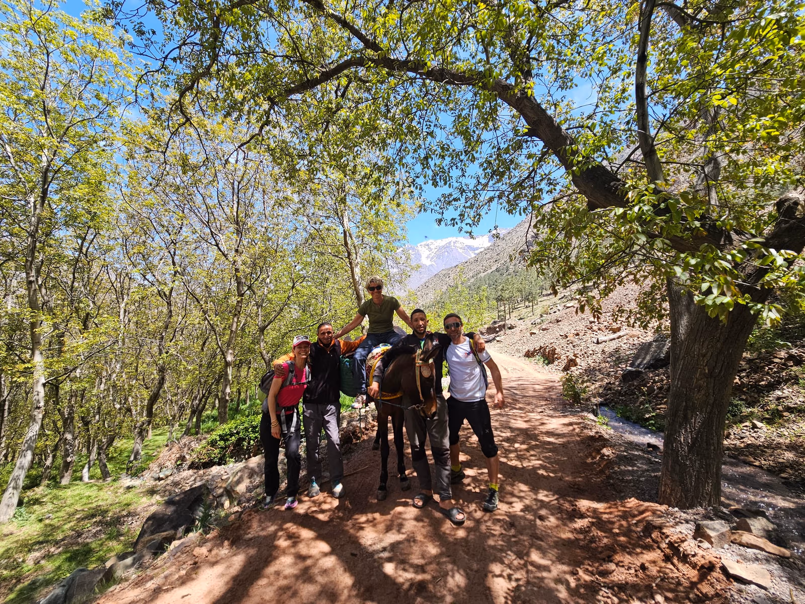 Group and mule under walnut trees