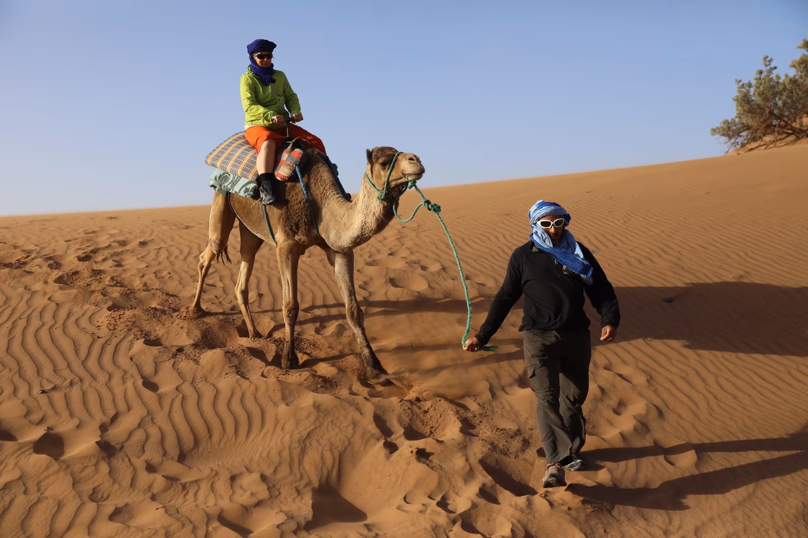 Camels riders rippled dunes