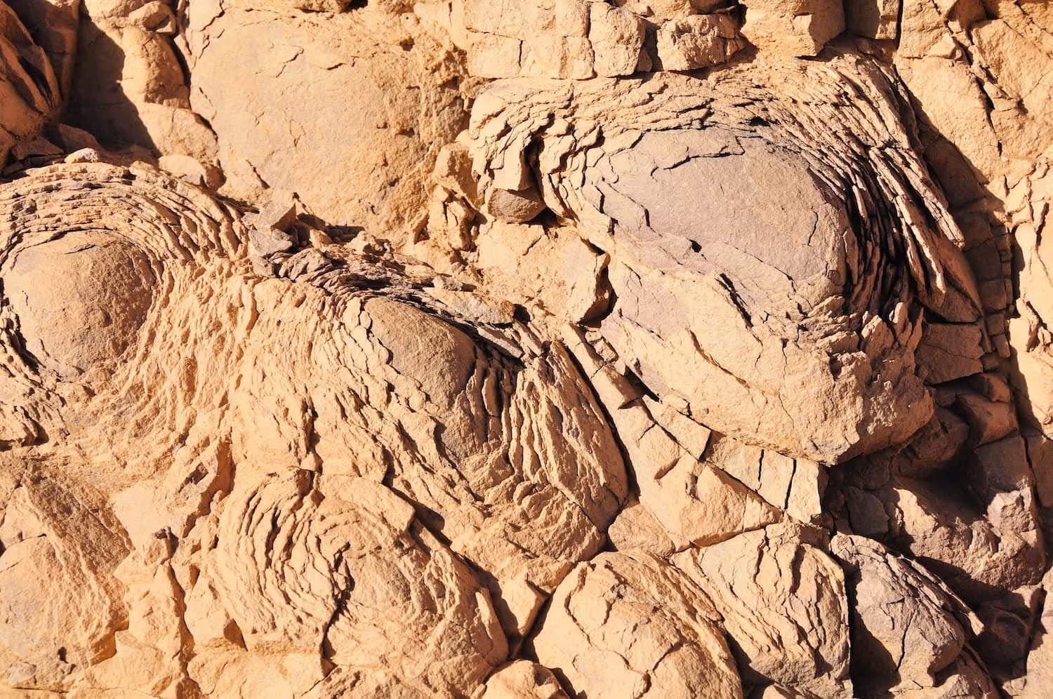 Folded sandstone rock detail
