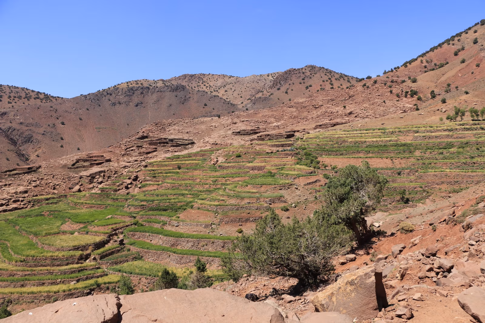 Green terraces red slopes