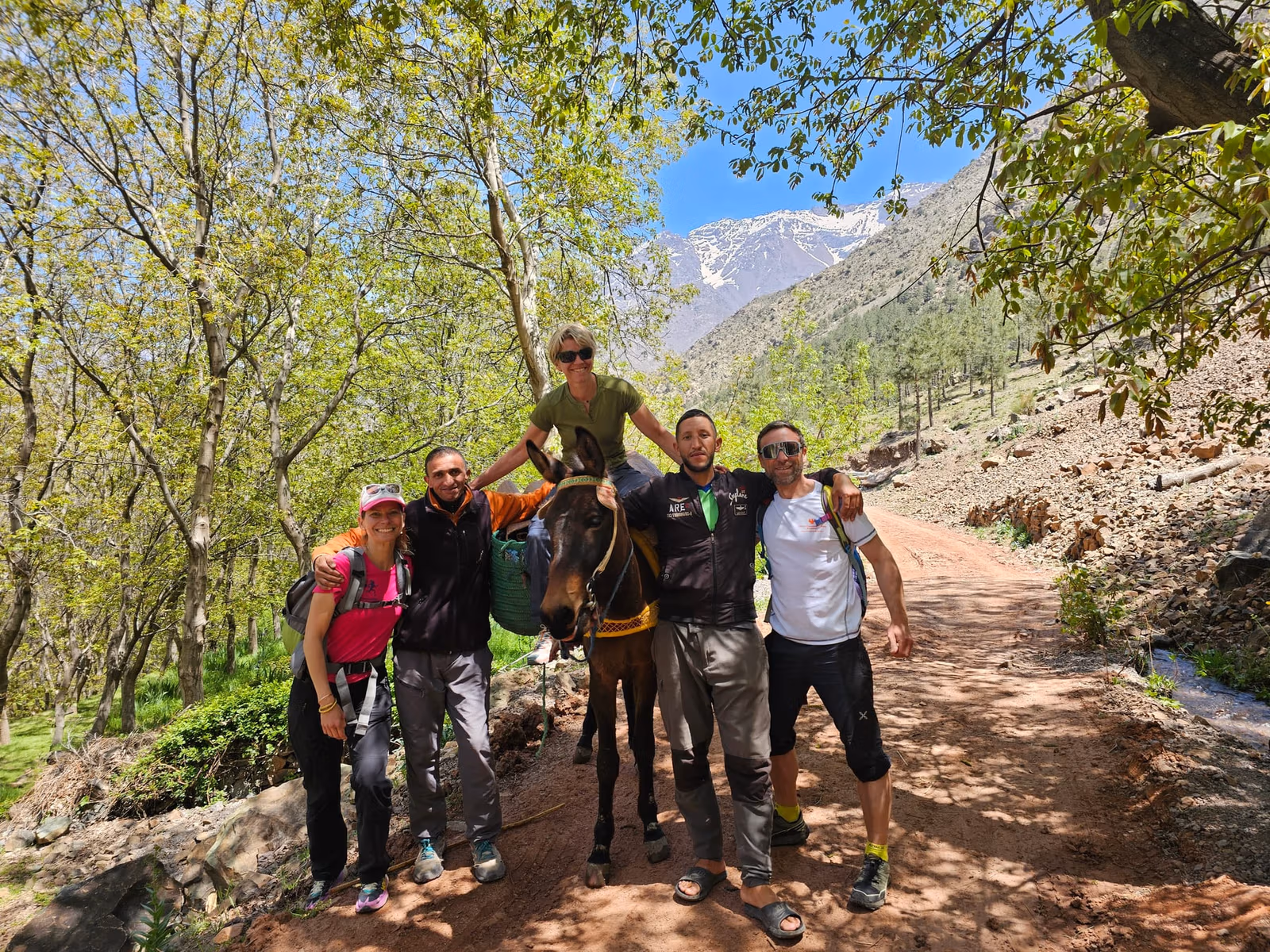 Group with mule walnut trail