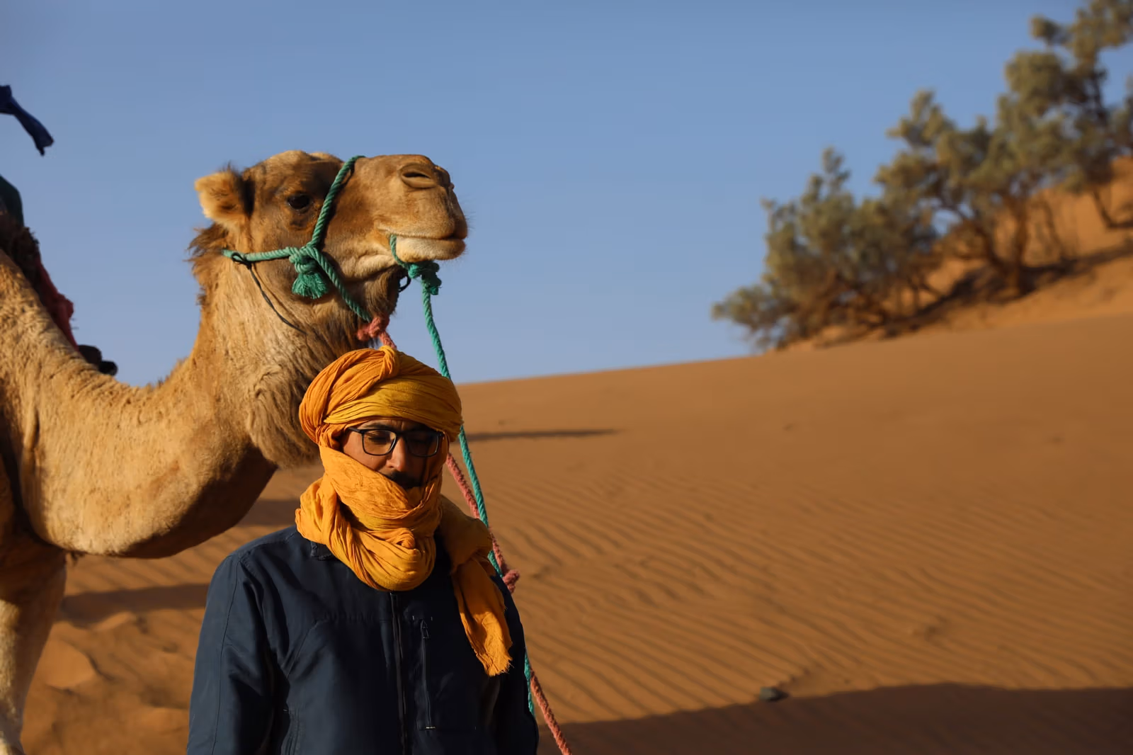 Camel Trekking — photo 1