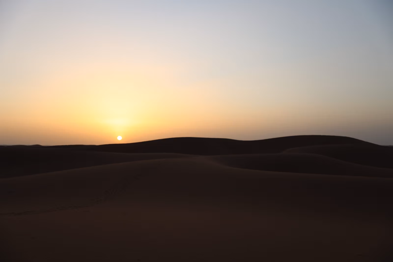 Sahara Tours — photo 1