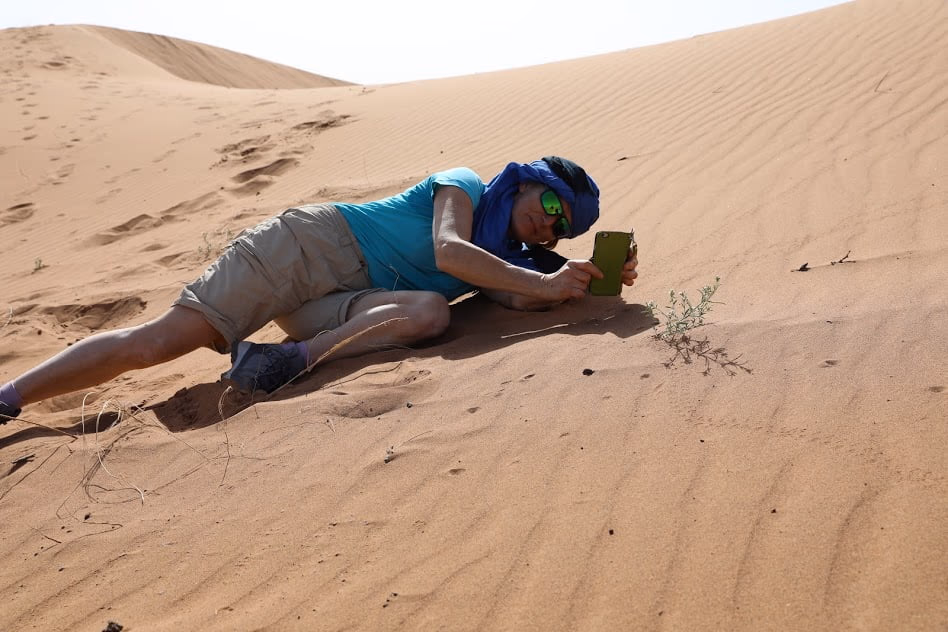 Sahara Tours photo 1