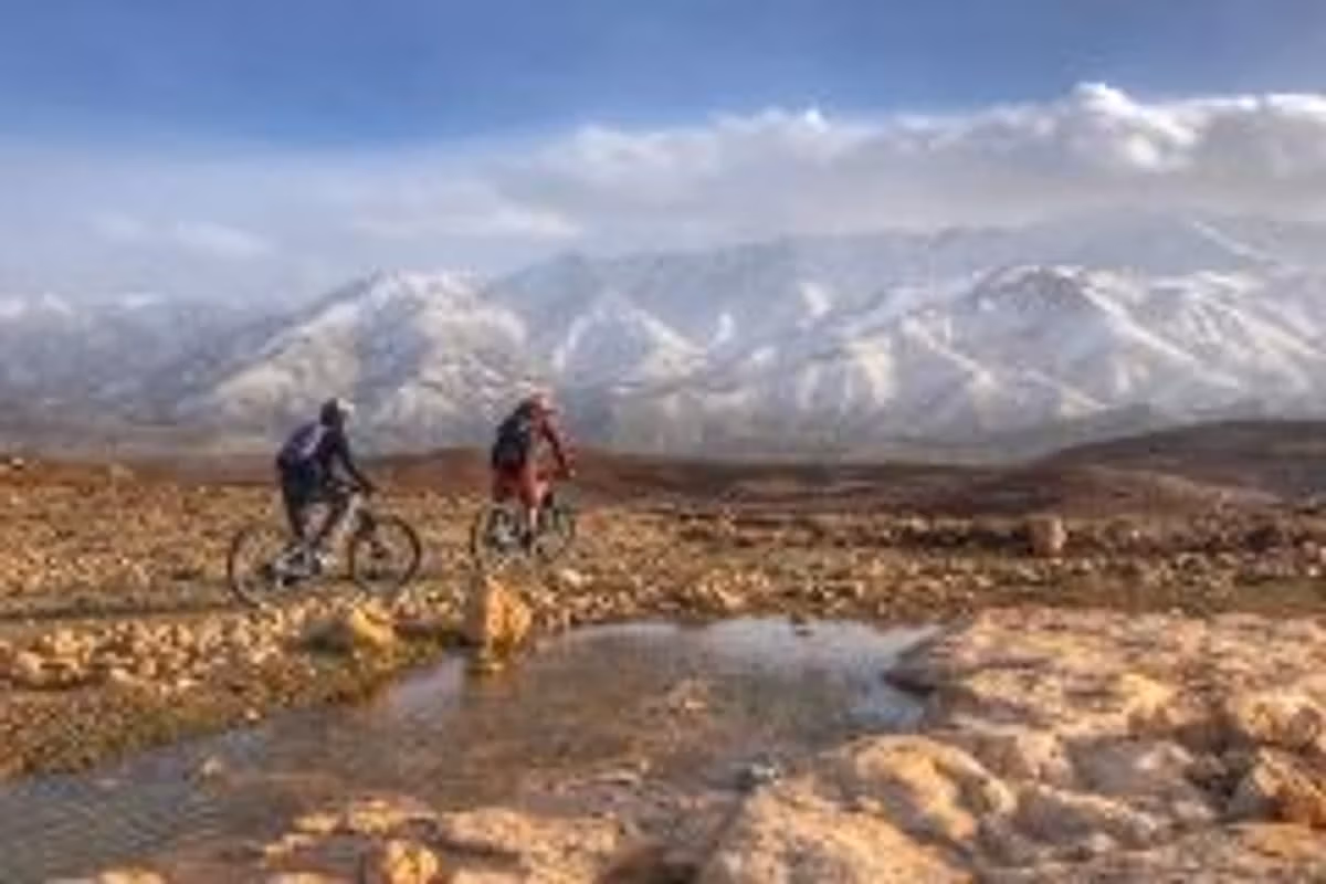 Mountain Biking — photo 2
