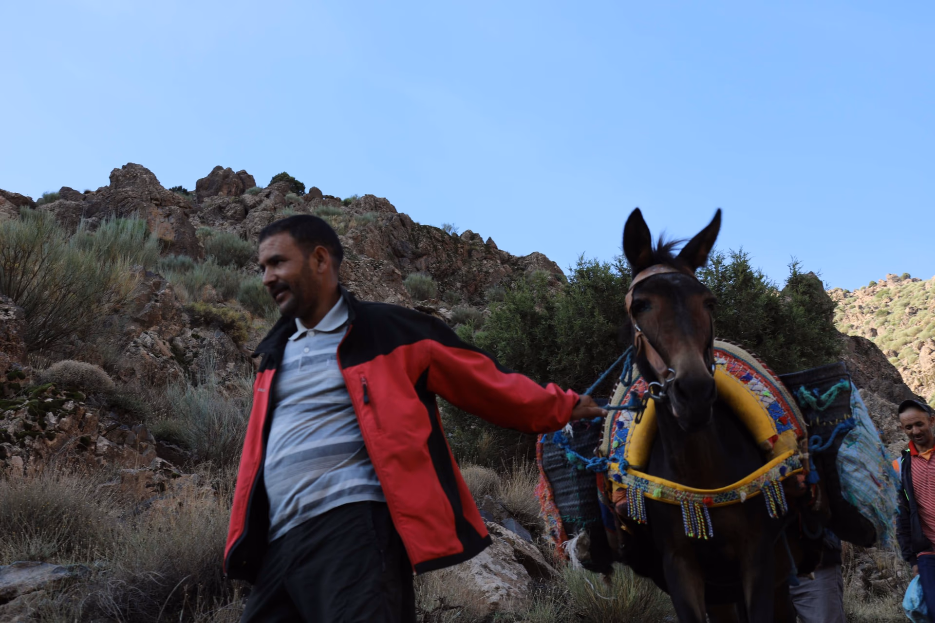 Tour & Mount Toubkal Climbing photo 3