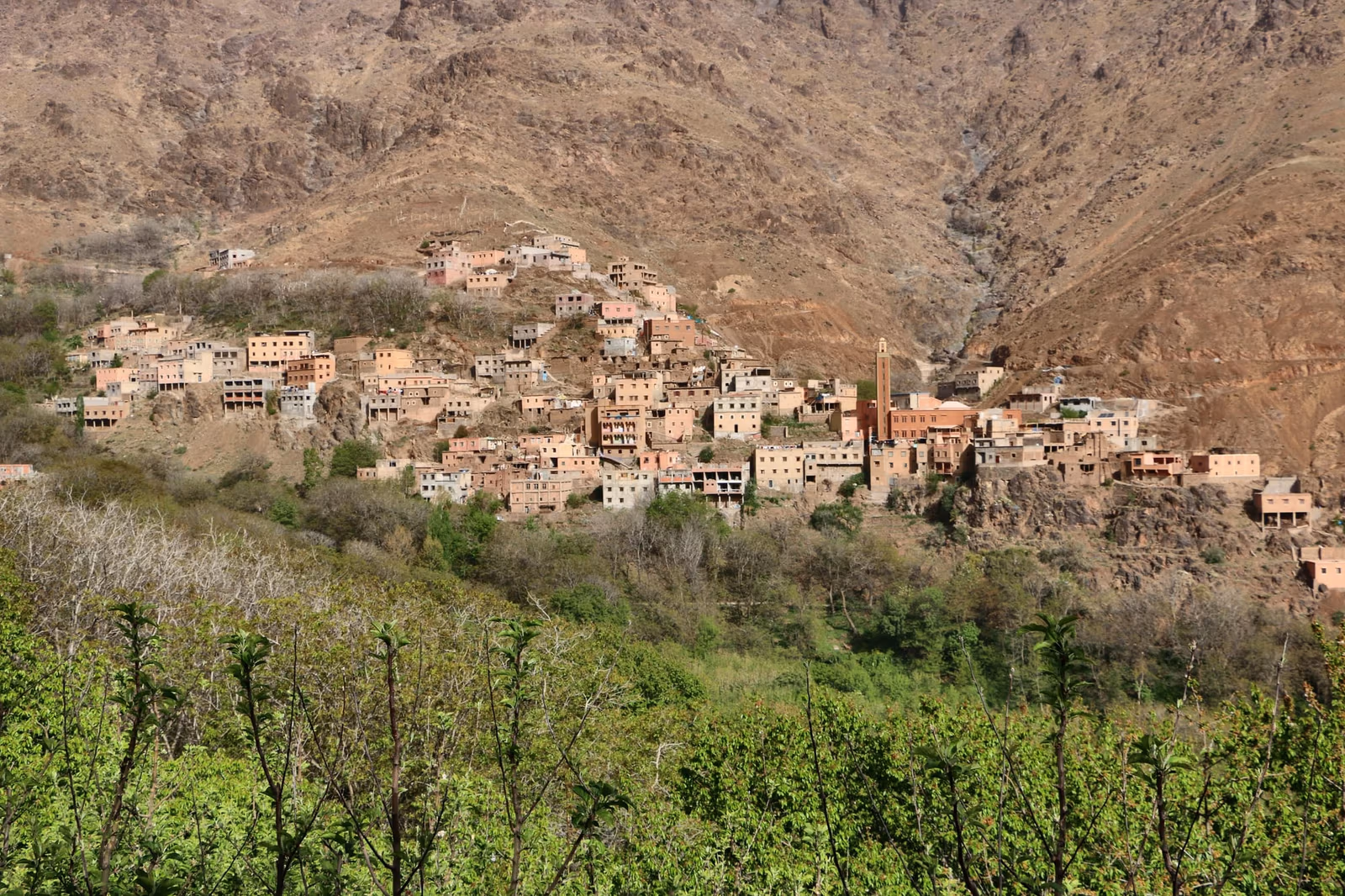 Berber Villages — Tachdirt to Setti Fatma — photo 3