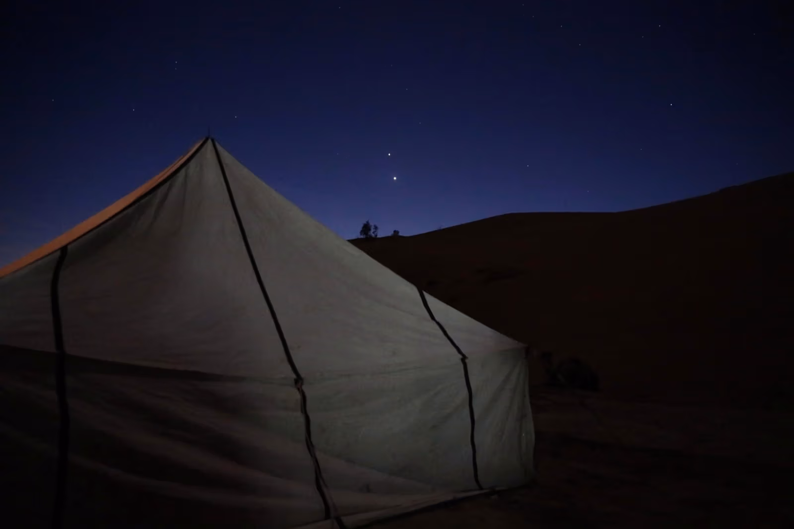 Sahara Tours — photo 3