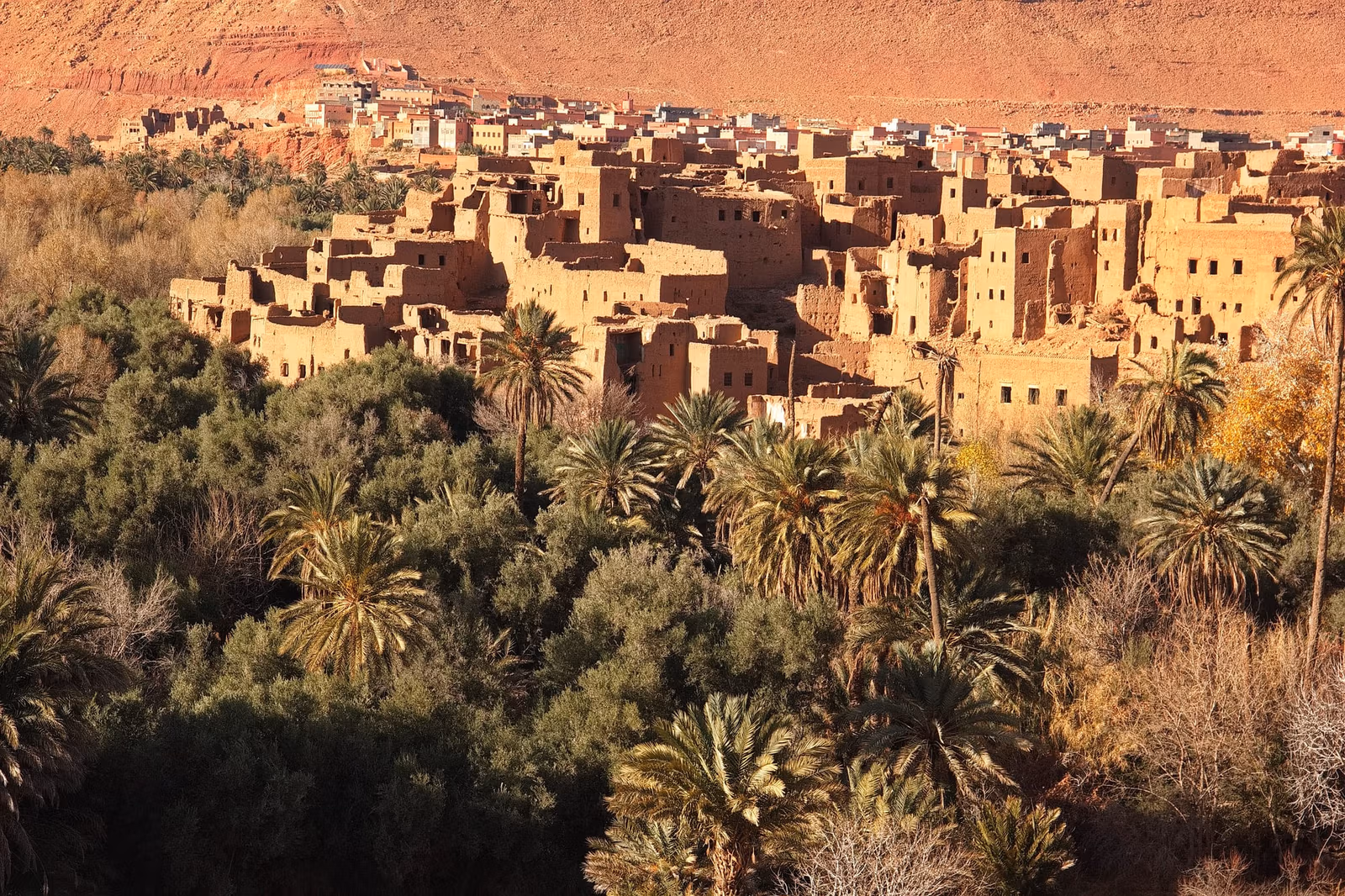 A kasbah village above a palm grove on the road to the Valley of Roses