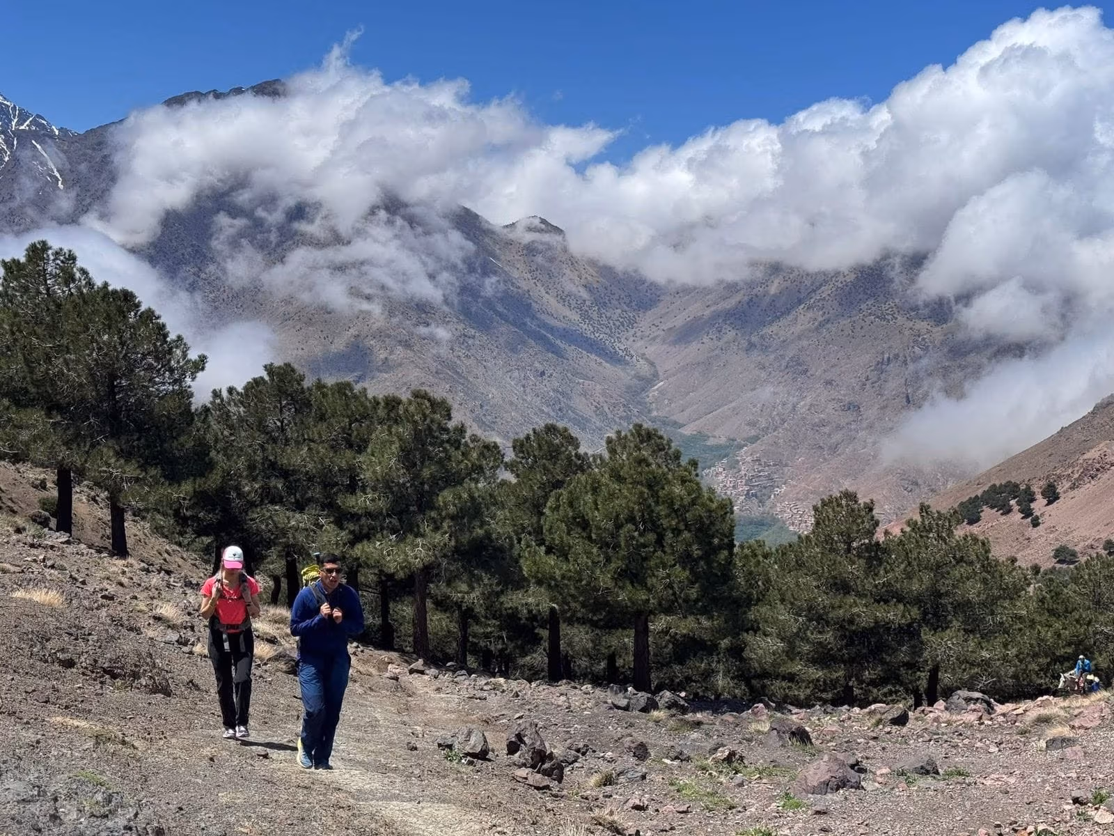 Trekkers on a pine trail in the Azzaden valley below cloud-covered peaks